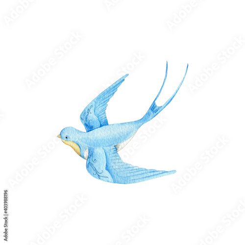 Watercolor swallow on white background. Flying  bird cartoon.