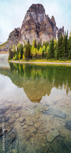 Assiniboine