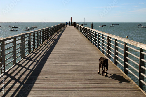 Fotografie La Tranche sur Mer