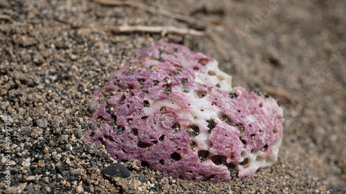 a colorful stone in Caihau, on the island Sao Vicente, Cabo Verde, in the month of November photo