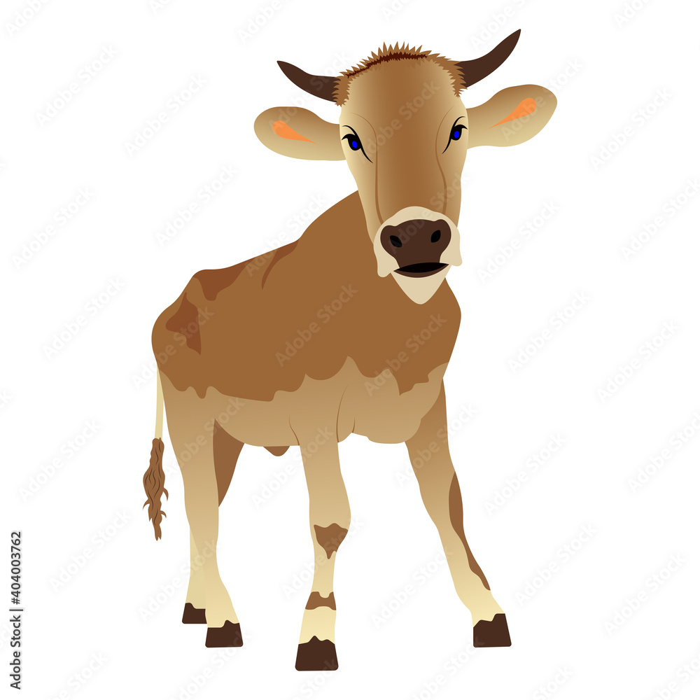 Cartoon cute bull. Vector illustration isolated on white background.