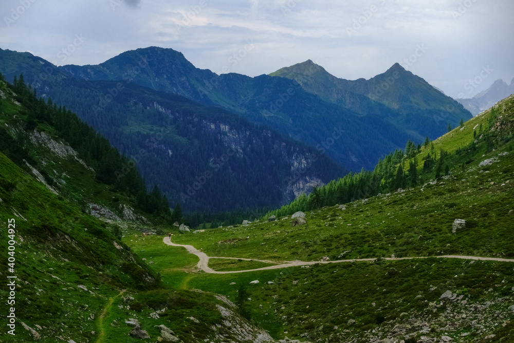 curvy dirt road in green mountains while hiking