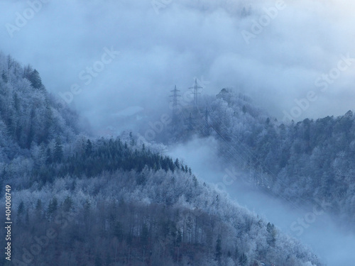 Foggy forest in wintertime from above