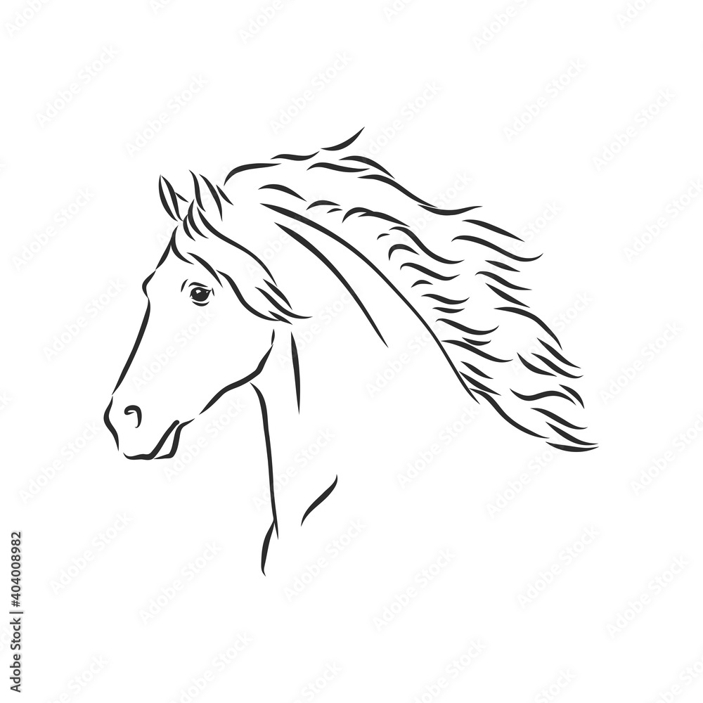 Vector silhouette of a horse. beautiful horse vector sketch illustration