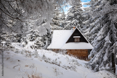 Fototapeta Naklejka Na Ścianę i Meble -  Beautiful winter in the Gorce Mountains - fresh snow created an amazing landscape. Beskidy, Poland.