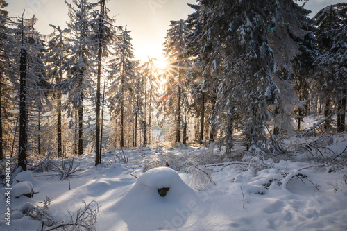 Fototapeta Naklejka Na Ścianę i Meble -  Beautiful winter in the Gorce Mountains - fresh snow created an amazing landscape. Beskidy, Poland.