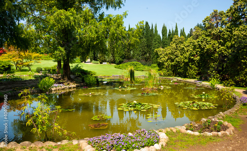Beautiful pond in Sigurta park in Italy in summer photo