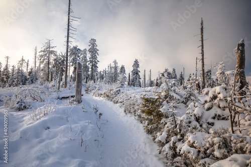 Fototapeta Naklejka Na Ścianę i Meble -  Beautiful winter in the Gorce Mountains - fresh snow created an amazing landscape. Beskidy, Poland.