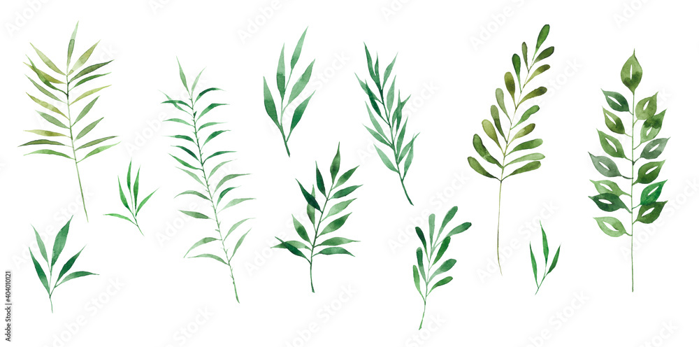 Fototapeta premium Large watercolor set of green herbs. Ideal for decoration