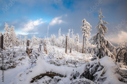 Fototapeta Naklejka Na Ścianę i Meble -  Beautiful winter in the Gorce Mountains - fresh snow created an amazing landscape. Beskidy, Poland.