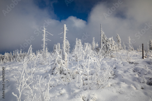 Fototapeta Naklejka Na Ścianę i Meble -  Beautiful winter in the Gorce Mountains - fresh snow created an amazing landscape. Beskidy, Poland.