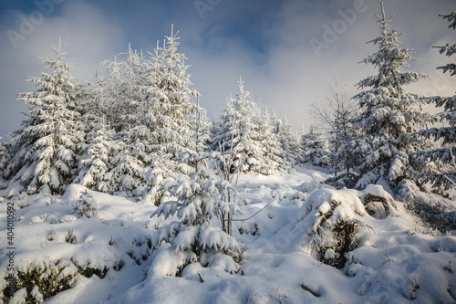Fototapeta Naklejka Na Ścianę i Meble -  Beautiful winter in the Gorce Mountains - fresh snow created an amazing landscape. Beskidy, Poland.