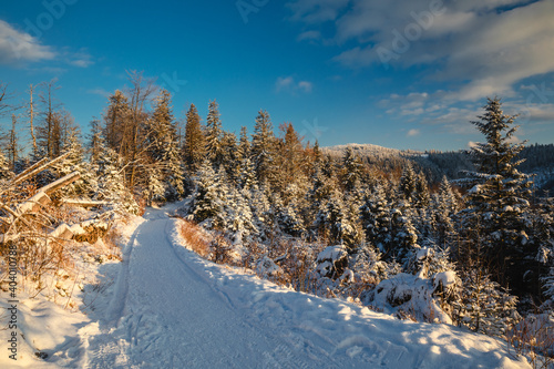 Fototapeta Naklejka Na Ścianę i Meble -  Beautiful winter in the Gorce Mountains - fresh snow created an amazing landscape. Beskidy, Poland.