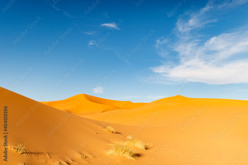 (Selective focus) Stunning view of some sand dunes illuminated during a sunny day in Merzouga, Morocco. Natural background with copy space. (Selective focus) Stunning view of some sand dunes illuminated during a sunny day in Merzouga, Morocco. Natural background with copy space.