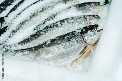 Canvas Print Chilled salmon fish on the counter in ice shavings