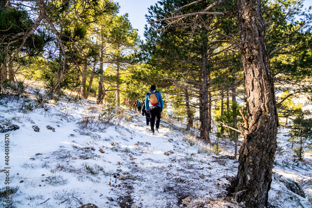 group of people hiking sport on snowy mountain together happy and enjoying snow group of people hiking sport on snowy mountain together happy and enjoying snow