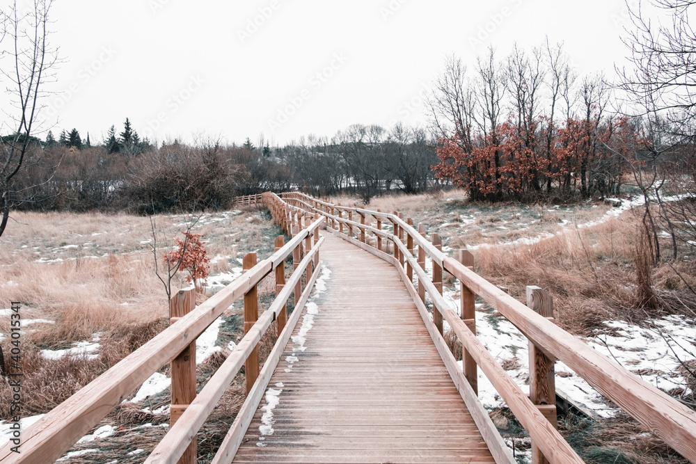 An empty wooden bridge with nature around it while it snows. Winter concept. Goal concept.