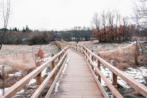 An empty wooden bridge with nature around it while it snows. Winter concept. Goal concept.