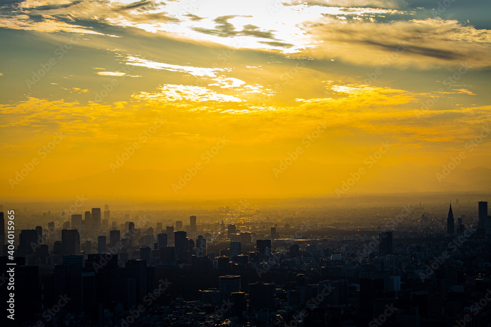 夕日に照らされる東京のビル群