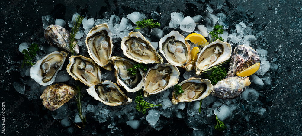 Open oysters Fines de Claire. Free space for your text. Seafood. Flat lay. Open oysters Fines de Claire. Free space for your text. Seafood. Flat lay.