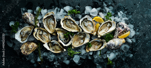 Open oysters Fines de Claire. Free space for your text. Seafood. Flat lay. photo