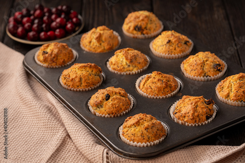 Homemade chia seed and cranberry muffins.