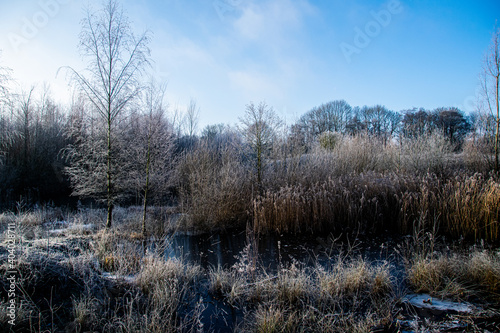 frosty wildlife pond in winter