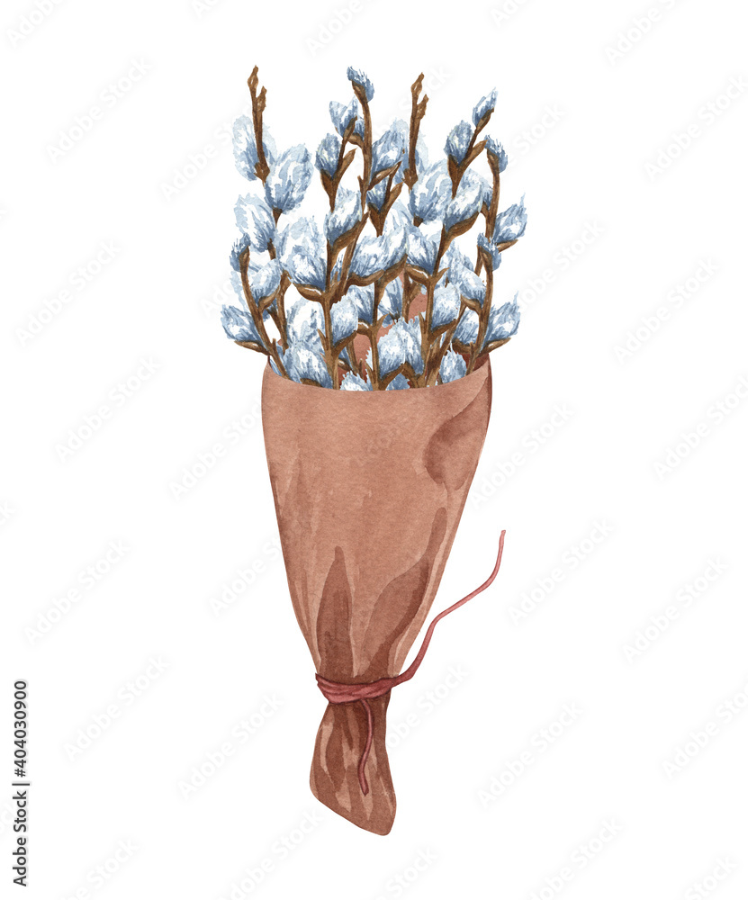 Watercolor bunch of pussy willow twigs. Spring bouquet. Easter decorations. Hand drawn illustration isolated on white background