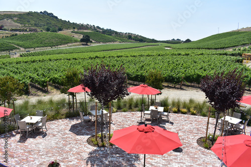 View of a lush green vineyard in rolling hills at an upscale winery in Paso Robles, California photo