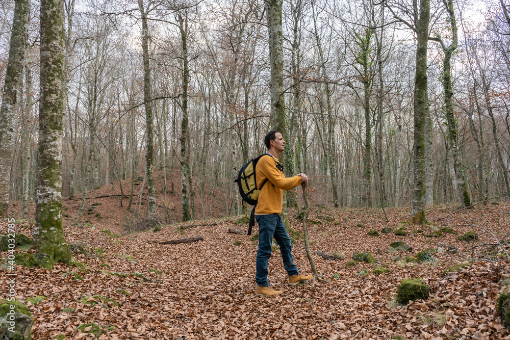 Fashion male with backpack walking or hiking on forest holding a wood stick and looking horizon.Sport healthy lifestyle and travel wanderlust concept.