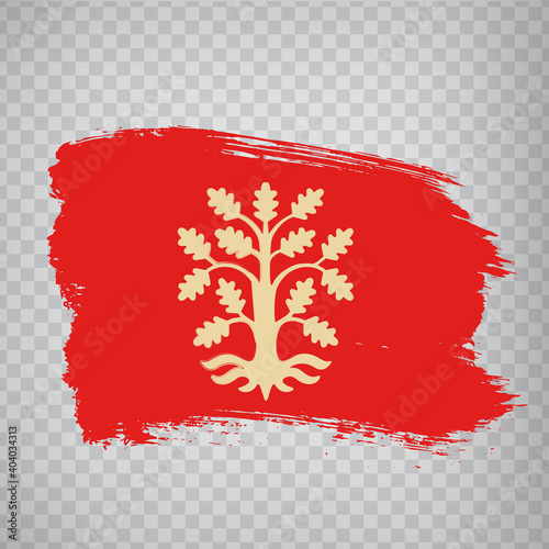 Flag Agder County brush strokes. Flag of Agder County on transparent background for your web site design, app, UI. Norway. EPS10.