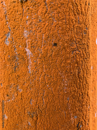 Foto Vertical shot of a tree bark covered by orange lichen