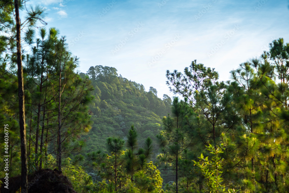 Green landscapes of Perquin El Salvador