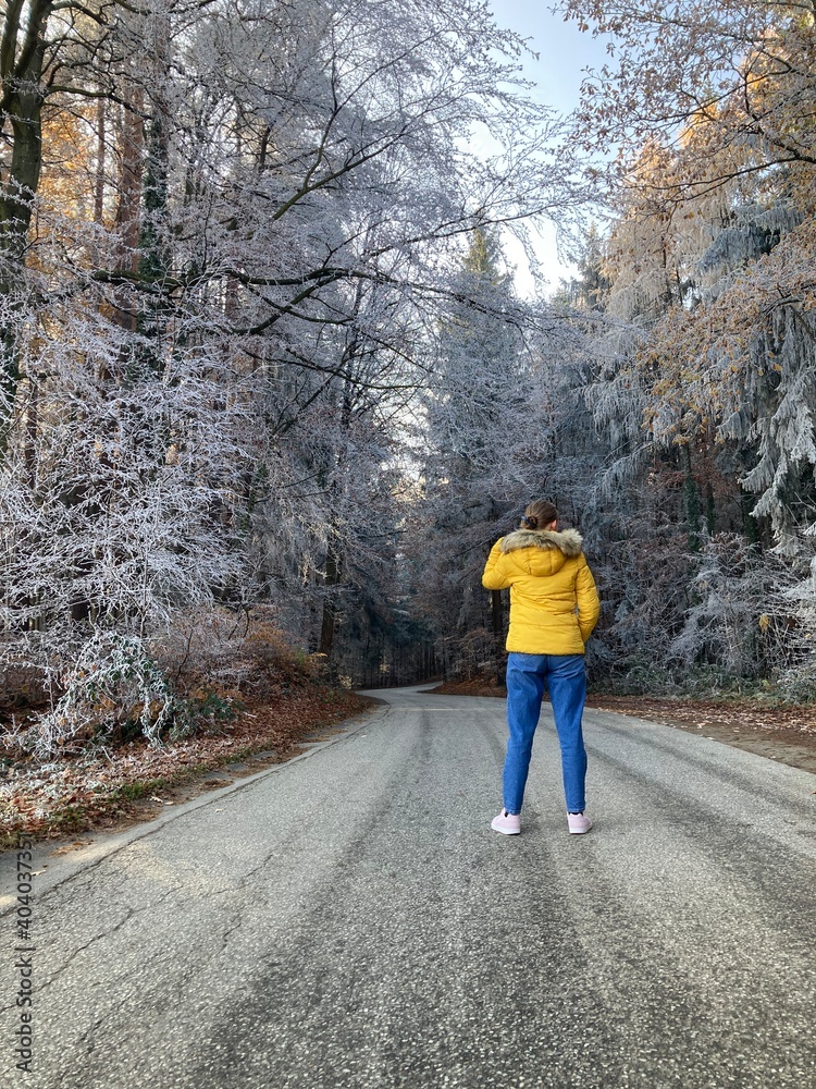 Fototapeta premium Winterwonderland