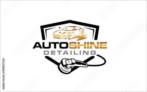 Illustration vector graphic of auto detailing servis logo design template