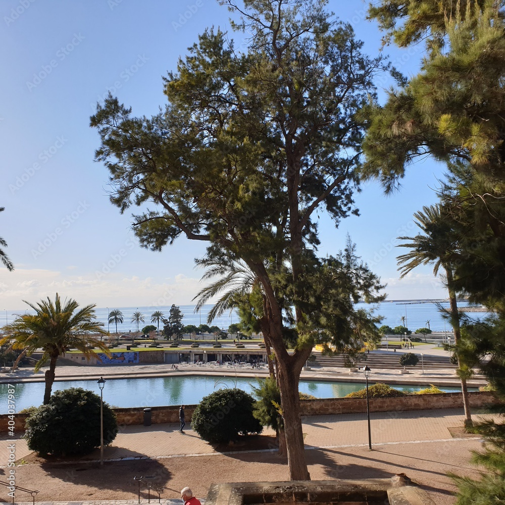 Fototapeta premium beach with trees