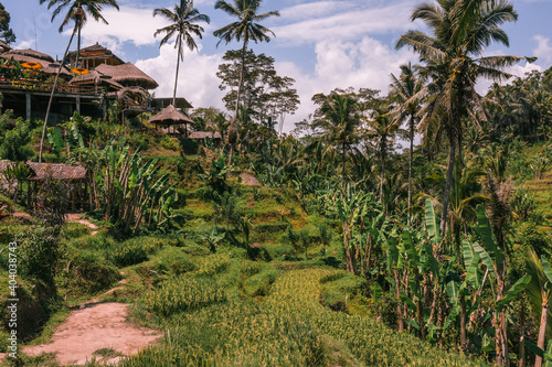 Fototapeta Naklejka Na Ścianę i Meble -  Bali Landscape