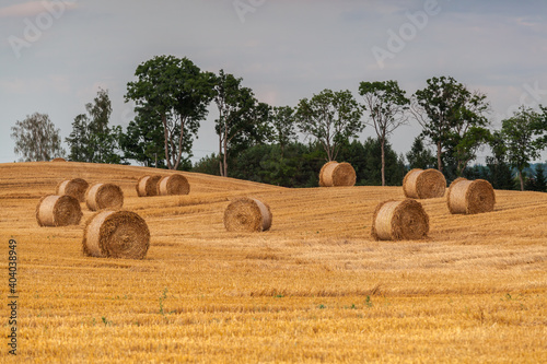 Fototapeta Naklejka Na Ścianę i Meble -  View of the Masurian fields.