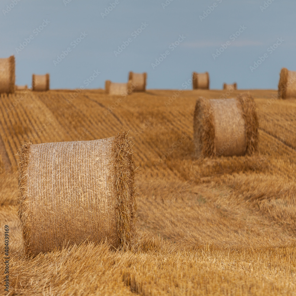 Fototapeta premium View of the Masurian fields.
