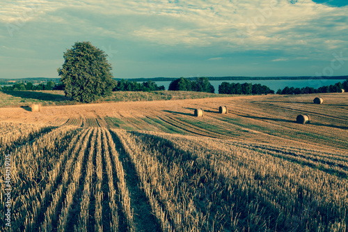 Fototapeta Naklejka Na Ścianę i Meble -  View of the Masurian fields.
