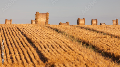 Fototapeta Naklejka Na Ścianę i Meble -  View of the Masurian fields.
