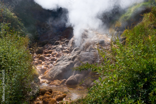 Steam is coming from the geyser. Valley of Geysers, Kamchatka.