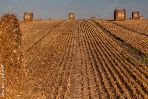 Fototapeta Naklejka Na Ścianę i Meble -  View of the Masurian fields.