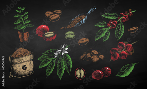 Coffee beans sack and leaves