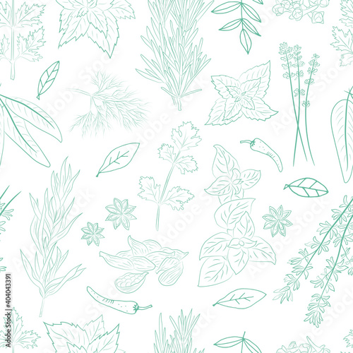 Seamless pattern with a set of spices and herbs. Vector Collection of hand drawn Spices and Herbs. Botanical plant illustration. Vintage Medicinal Herbs and plants. 