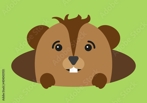 Marmota asomada por una madriguera.
