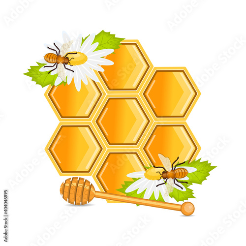 Sweet honeycomb bees and flower chamomile.vector illustration.