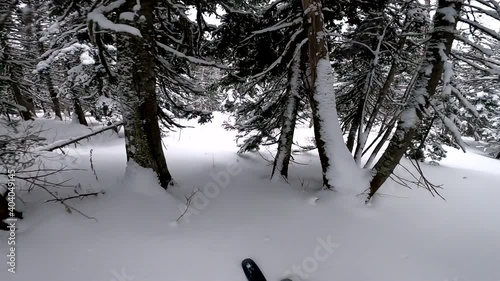 FIRST PERSON VIEW CLOSE UP: Snowboarder riding fresh powder snow in snowy mountain forest. Freeride skier skiing in perfect powder snow off piste in sunny mountain ski resort