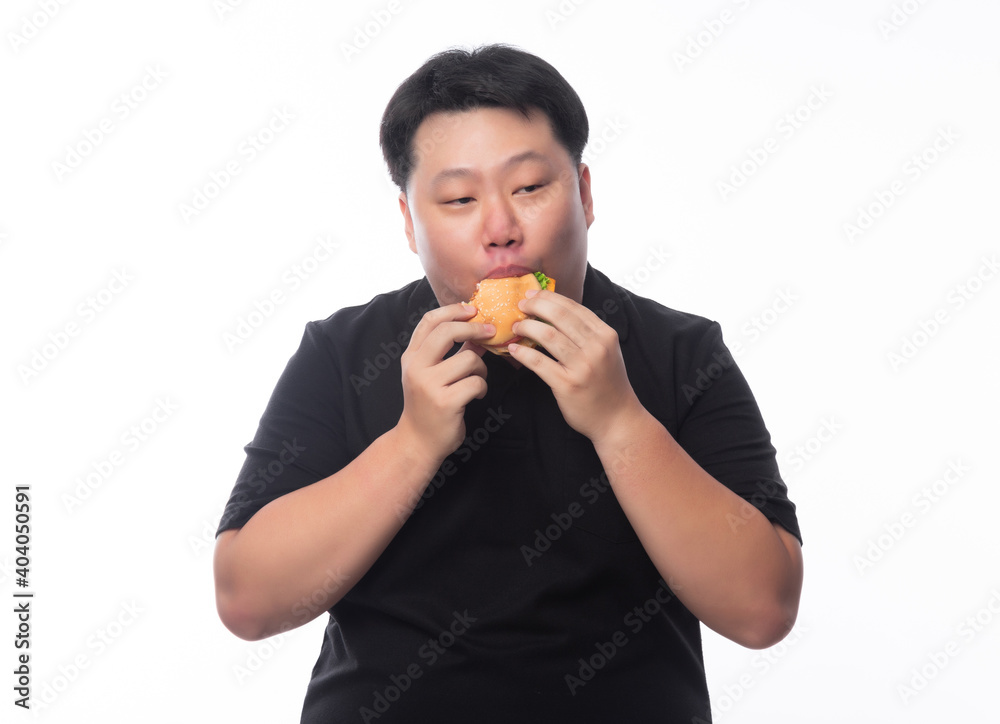 Young Funny Fat Asian man eating hamburger isolated on white background, Unhealthy concept. Young Funny Fat Asian man eating hamburger isolated on white background, Unhealthy concept.
