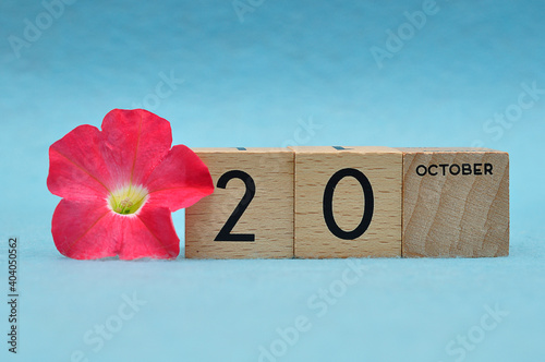 20 October on wooden blocks with a Petunia on a blue background
